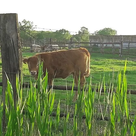 Lantställe Il Melograno