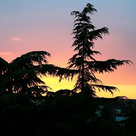 Séjour à la campagne Il Melograno Torrita di Siena